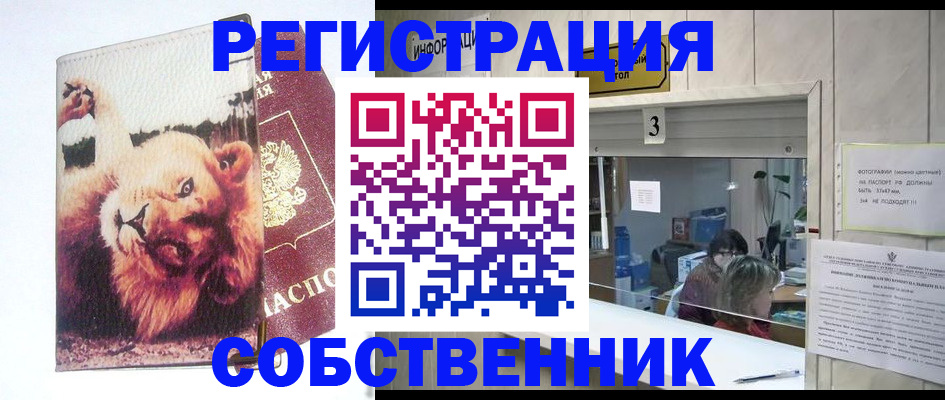 прописка поиск в Геленджике